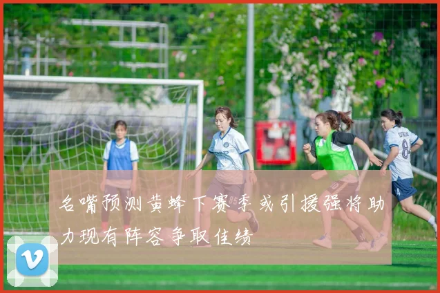 名嘴预测黄蜂下赛季或引援强将助力现有阵容争取佳绩