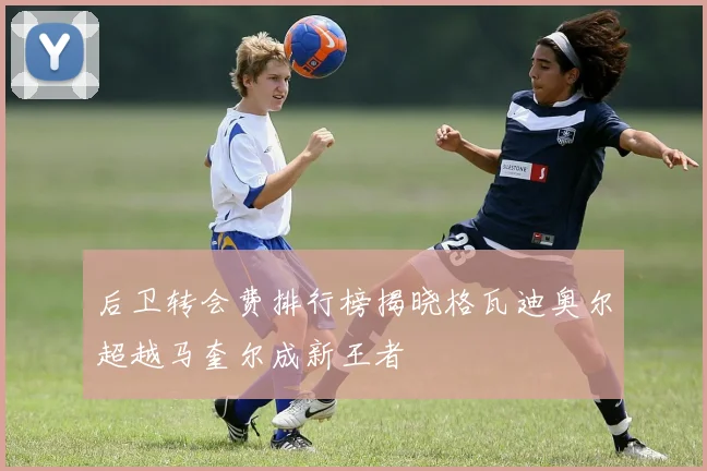 后卫转会费排行榜揭晓格瓦迪奥尔超越马奎尔成新王者
